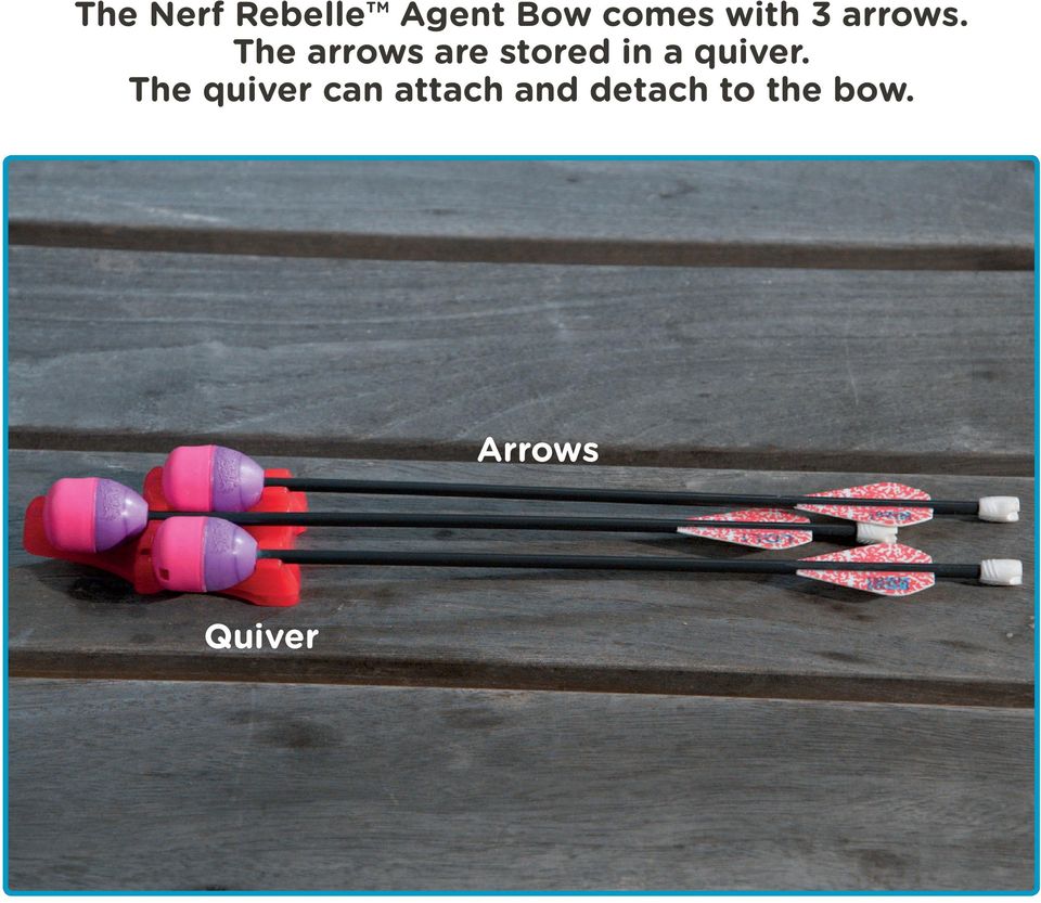 The arrows are stored in a quiver.