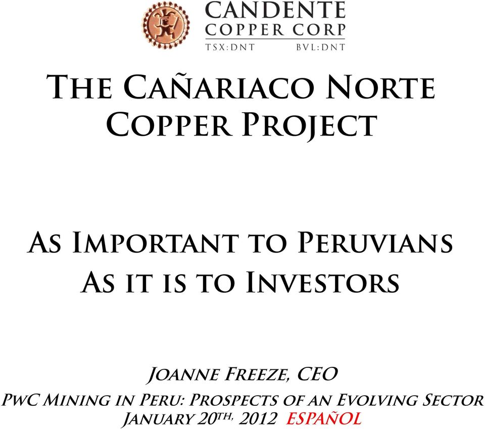 Joanne Freeze, CEO PwC Mining in Peru: