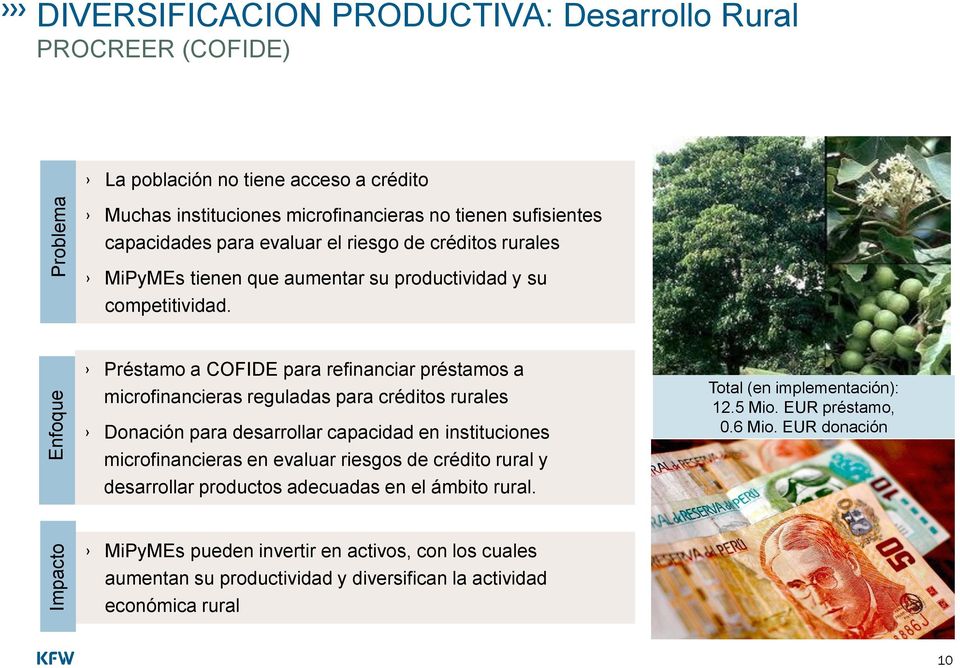 Photo 1 Préstamo a COFIDE para refinanciar préstamos a microfinancieras reguladas para créditos rurales Donación para desarrollar capacidad en instituciones microfinancieras en evaluar riesgos
