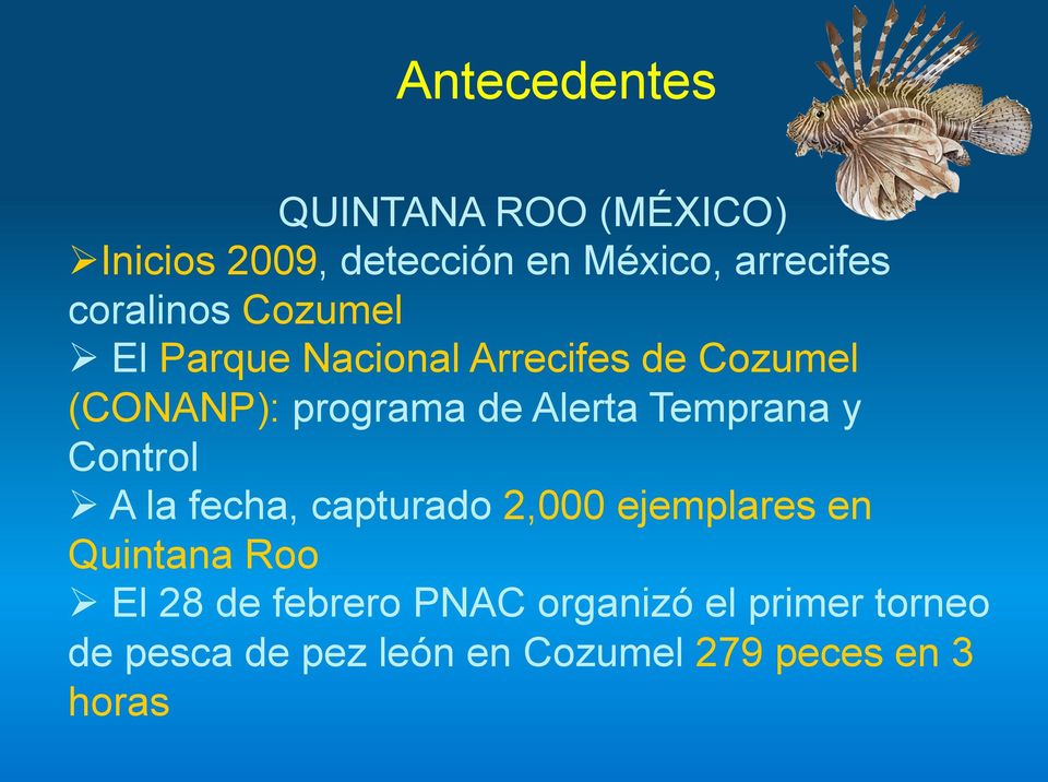 Alerta Temprana y Control A la fecha, capturado 2,000 ejemplares en Quintana Roo El