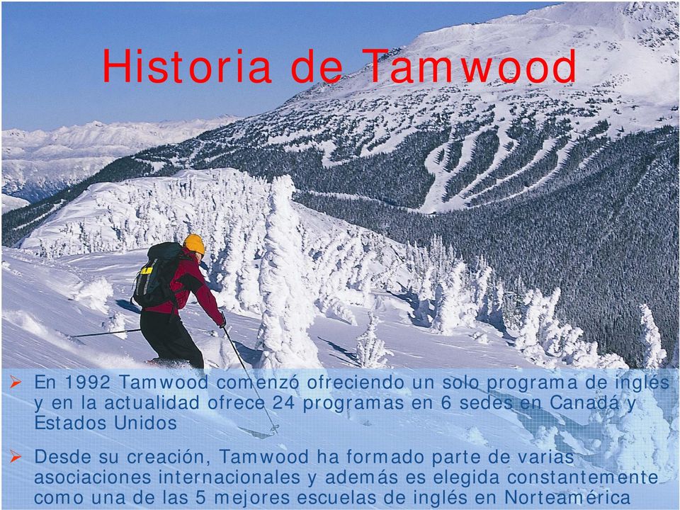creación, Tamwood ha formado parte de varias asociaciones internacionales y además