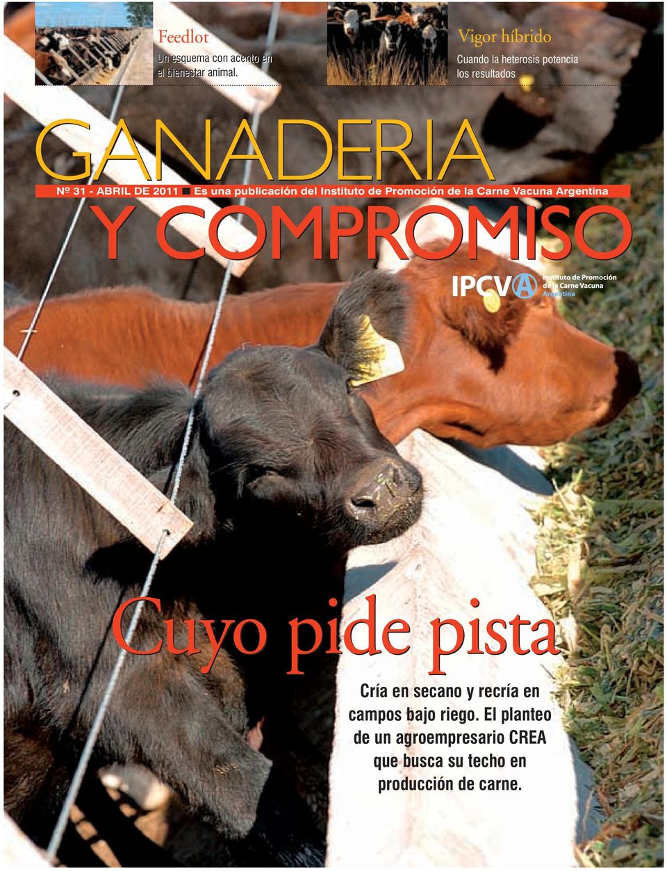 una publicación del Instituto de Promoción de la Carne Vacuna Argentina Y COMPROMISO Cuyo