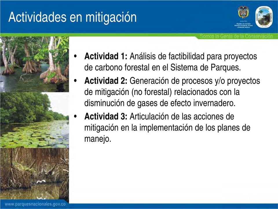 Actividad 2: Generación de procesos y/o proyectos de mitigación (no forestal) relacionados