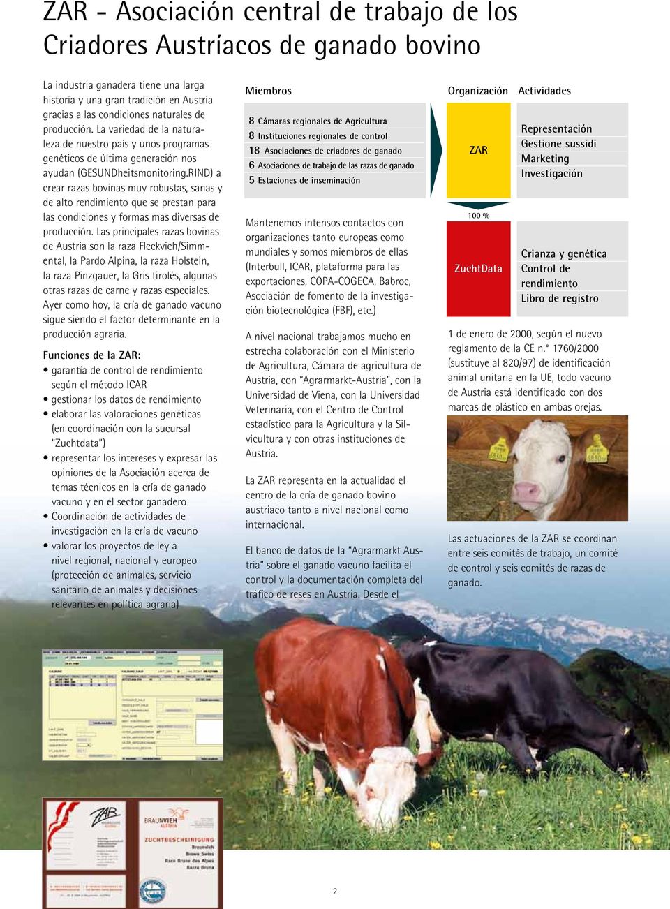 RIND) a crear razas bovinas muy robustas, sanas y de alto rendimiento que se prestan para las condiciones y formas mas diversas de producción.