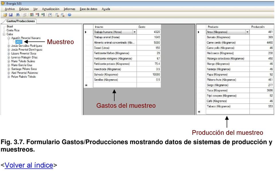 Formulario Gastos/Producciones