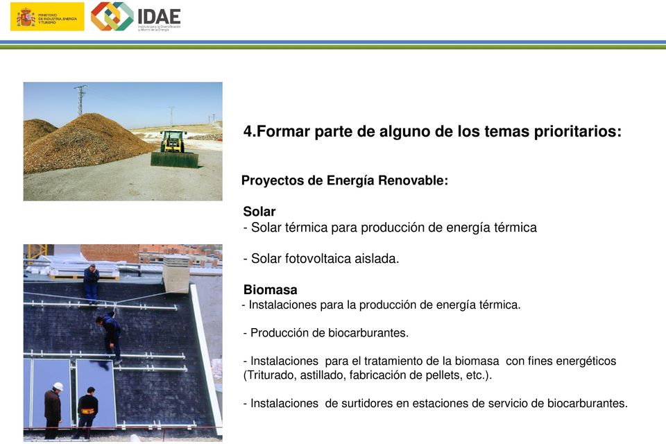 Biomasa - Instalaciones para la producción de energía térmica. - Producción de biocarburantes.