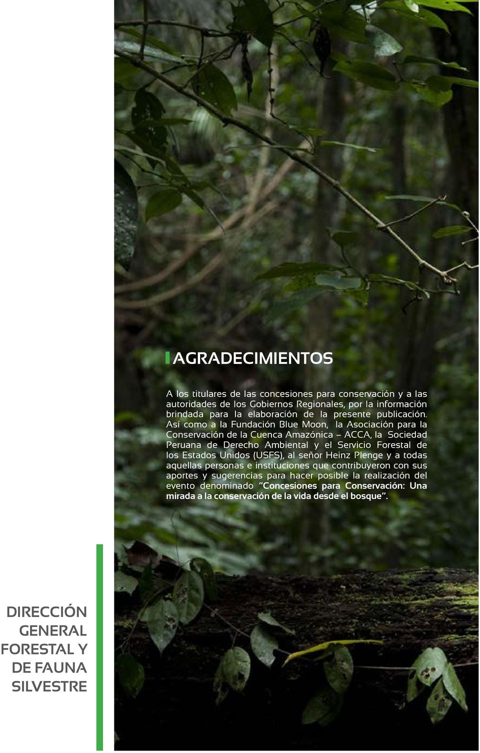 Así como a la Fundación Blue Moon, la Asociación para la Conservación de la Cuenca Amazónica ACCA, la Sociedad Peruana de Derecho Ambiental y el Servicio Forestal de los