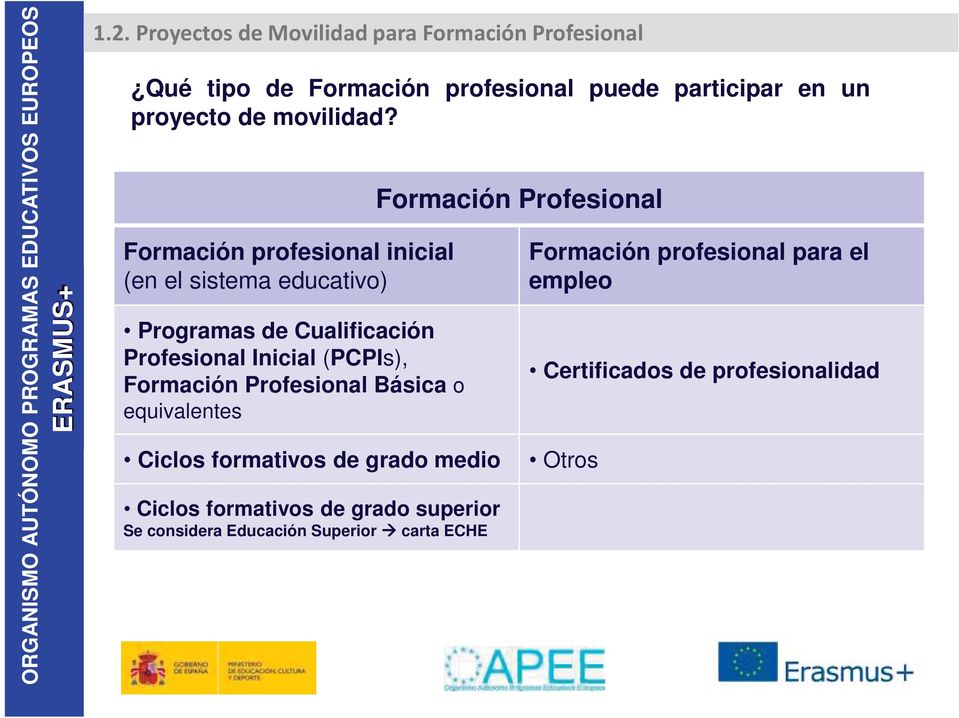 Formación profesional inicial (en el sistema educativo) Programas de Cualificación Profesional Inicial (PCPIs), Formación