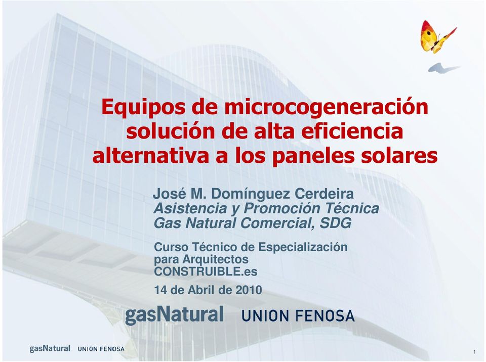 Domínguez Cerdeira Asistencia y Promoción Técnica Gas Natural