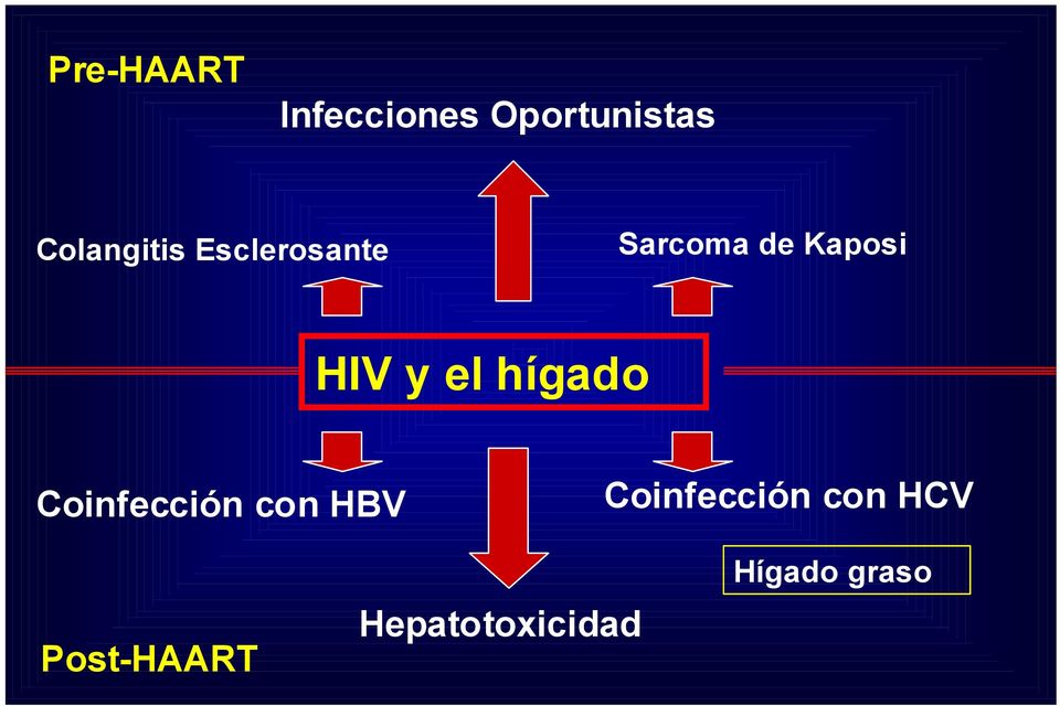 HIV y el hígado Coinfección con HBV