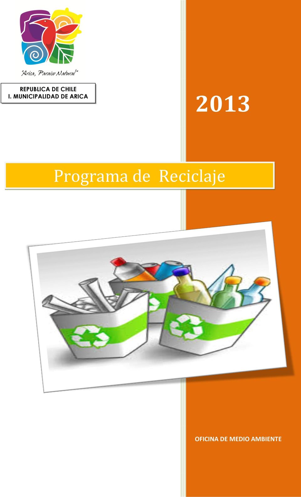 2013 Programa de