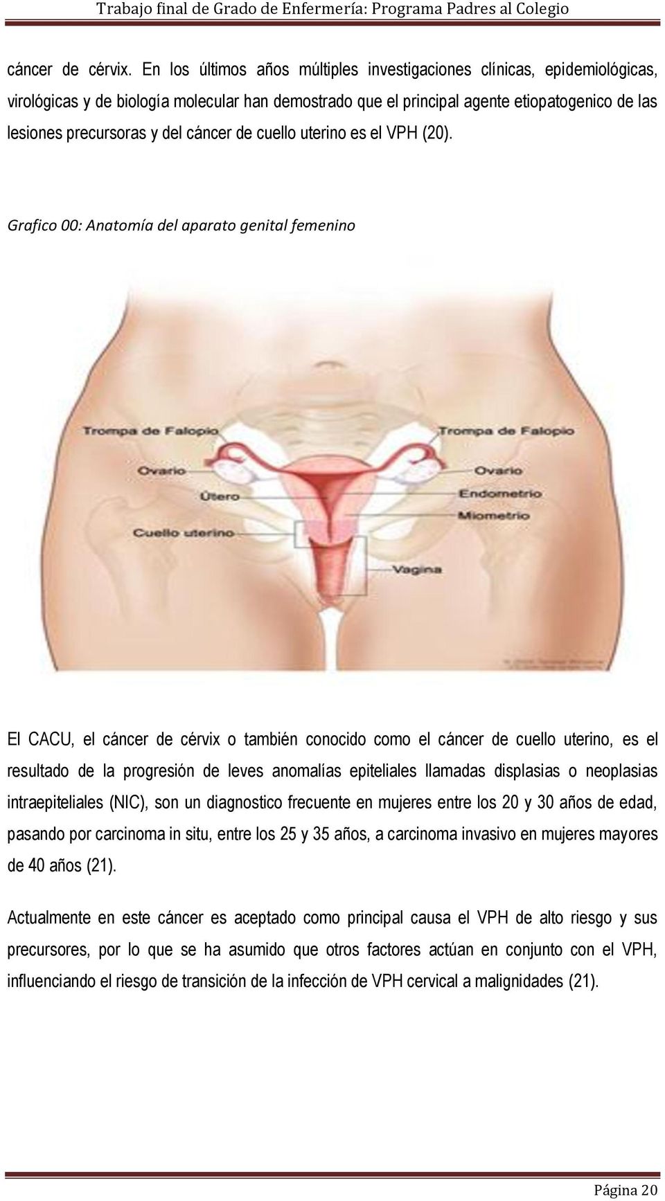 cáncer de cuello uterino es el VPH (20).