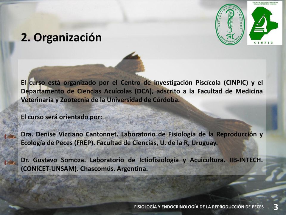 Denise Vizziano Cantonnet. Laboratorio de Fisiología de la Reproducción y Ecología de Peces (FREP). Facultad de Ciencias, U.