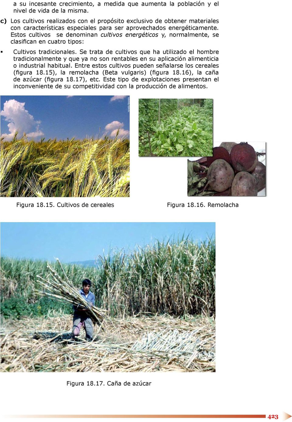 Estos cultivos se denominan cultivos energéticos y, normalmente, se clasifican en cuatro tipos: Cultivos tradicionales.