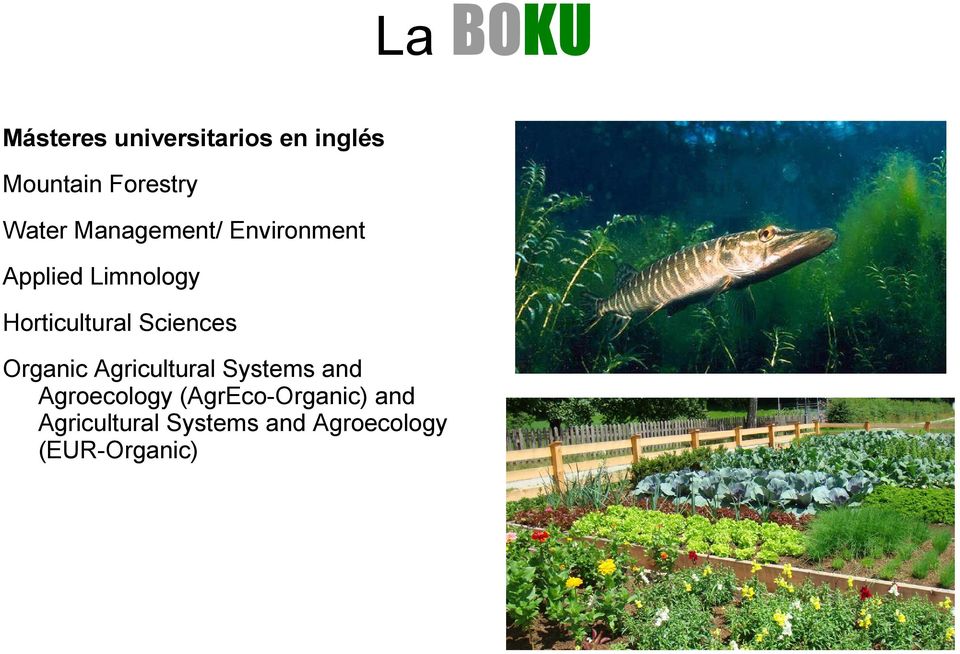 Sciences Organic Agricultural Systems and Agroecology