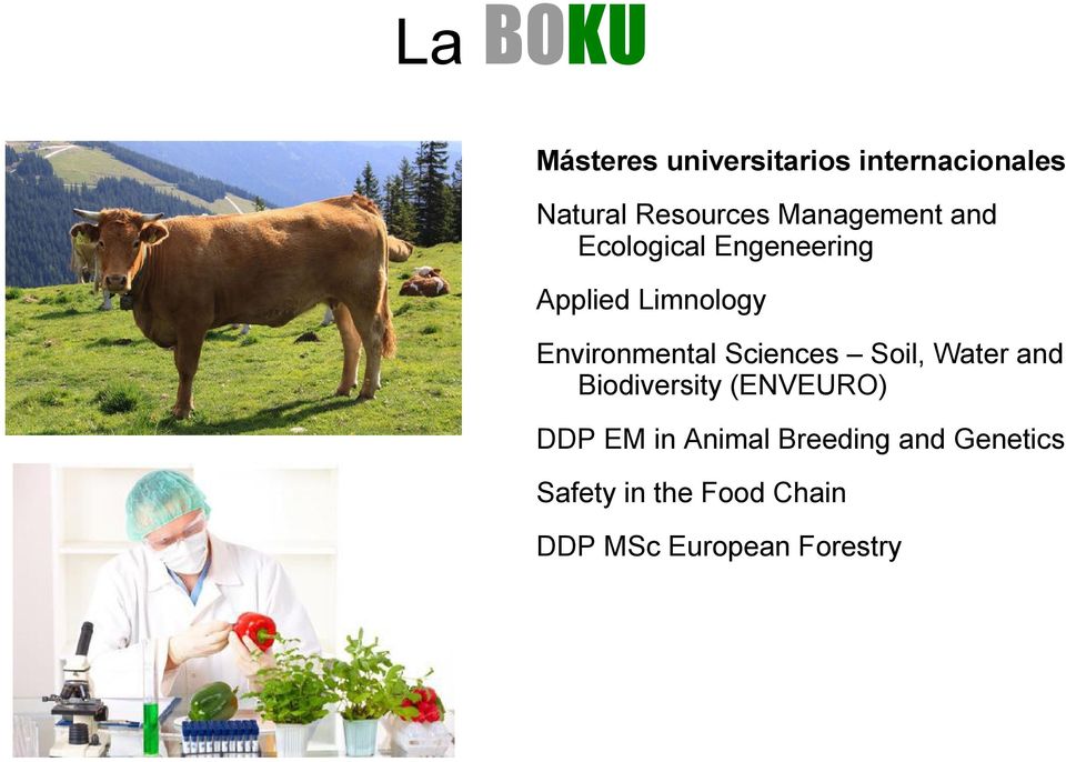 Environmental Sciences Soil, Water and Biodiversity (ENVEURO) DDP