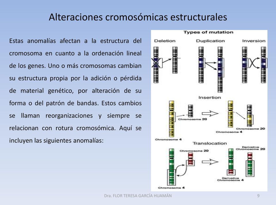 Uno o más cromosomas cambian su estructura propia por la adición o pérdida de material genético, por alteración