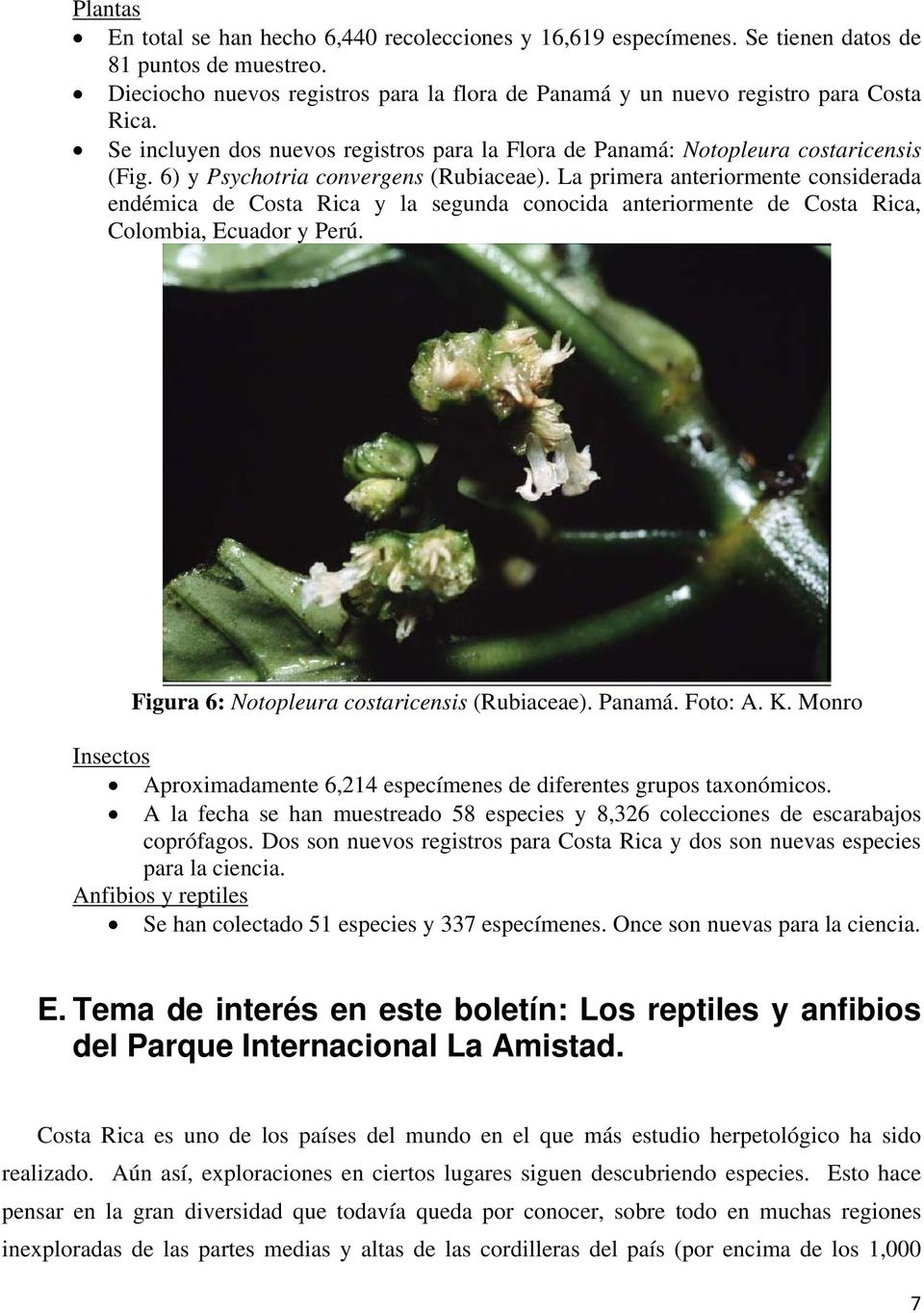6) y Psychotria convergens (Rubiaceae). La primera anteriormente considerada endémica de Costa Rica y la segunda conocida anteriormente de Costa Rica, Colombia, Ecuador y Perú.