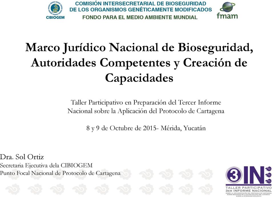 Aplicación del Protocolo de Cartagena 8 y 9 de Octubre de 2015- Mérida, Yucatán Dra.