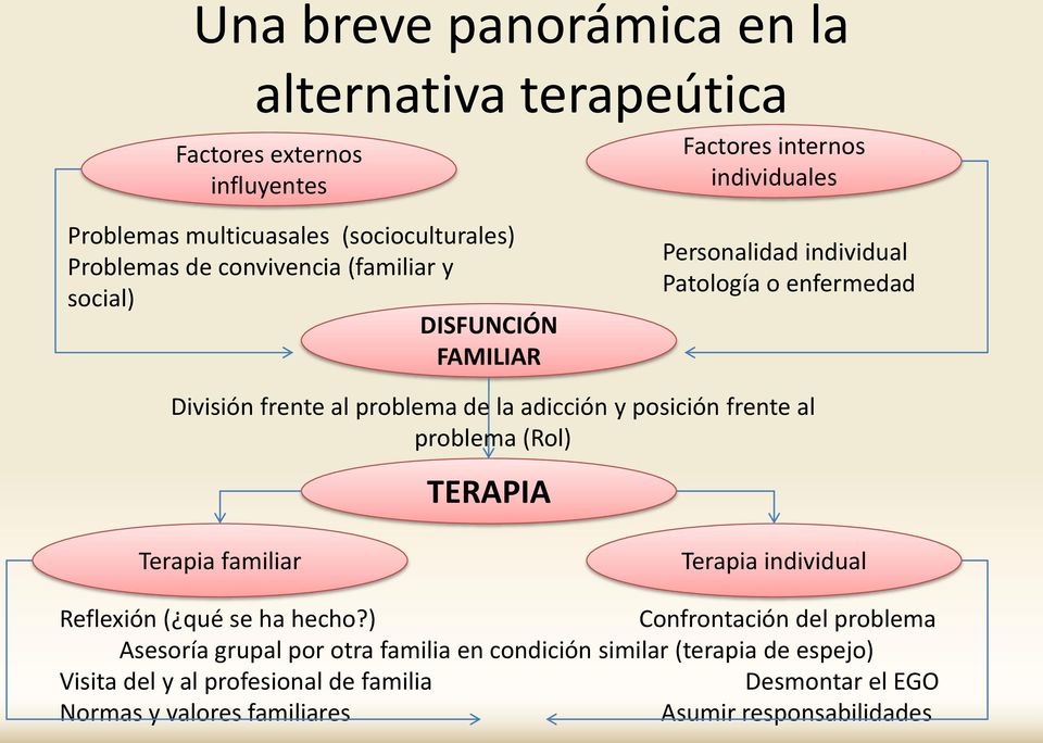 posición frente al problema (Rol) TERAPIA Terapia familiar Terapia individual Reflexión ( qué se ha hecho?