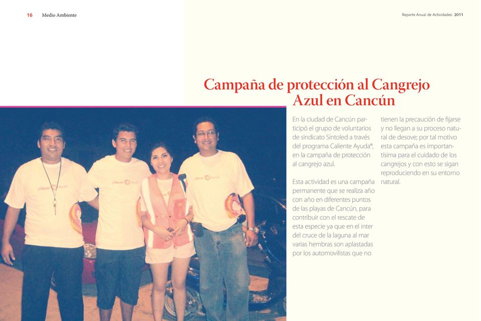 Esta actividad es una campaña permanente que se realiza año con año en diferentes puntos de las playas de Cancún, para contribuir con el rescate de esta especie ya que en el inter del