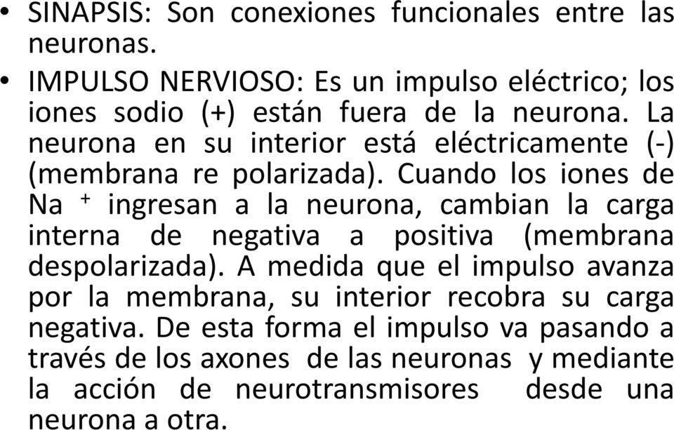 La neurona en su interior está eléctricamente (-) (membrana re polarizada).