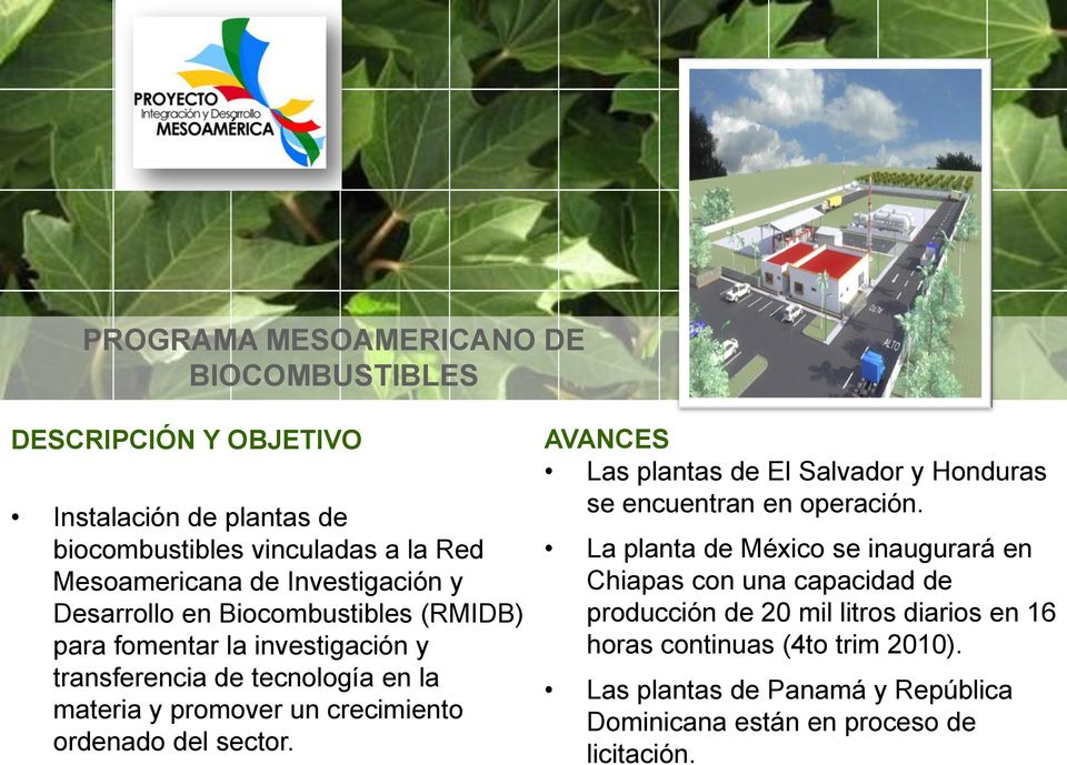 crecimiento ordenado del sector. AVANCES Las plantas de El Salvador y Honduras se encuentran en operación.