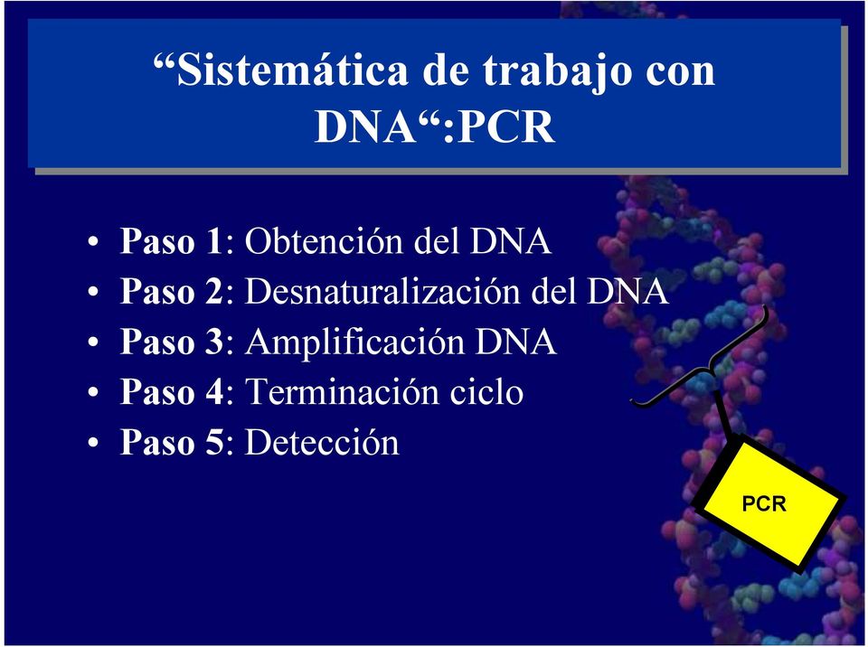 Desnaturalización del DNA Paso 3: