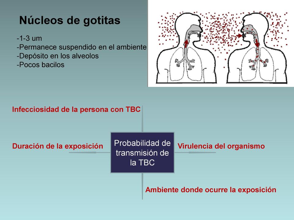 persona con TBC Duración de la exposición Probabilidad de