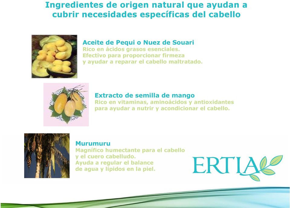 Extracto de semilla de mango Rico en vitaminas, aminoácidos y antioxidantes para ayudar a nutrir y acondicionar el