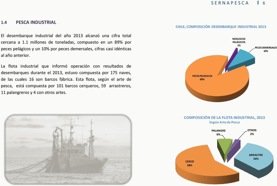 MOLUSCOS PELÁGICOS 1% PECES DEMERSALES 10% La flota industrial que informó operación con resultados de desembarques durante el 2013, estuvo compuesta por 175 naves, de las cuales 16 son