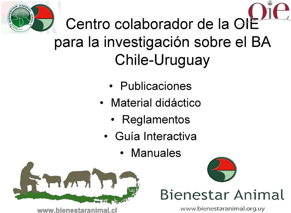 Chile-Uruguay Publicaciones Material