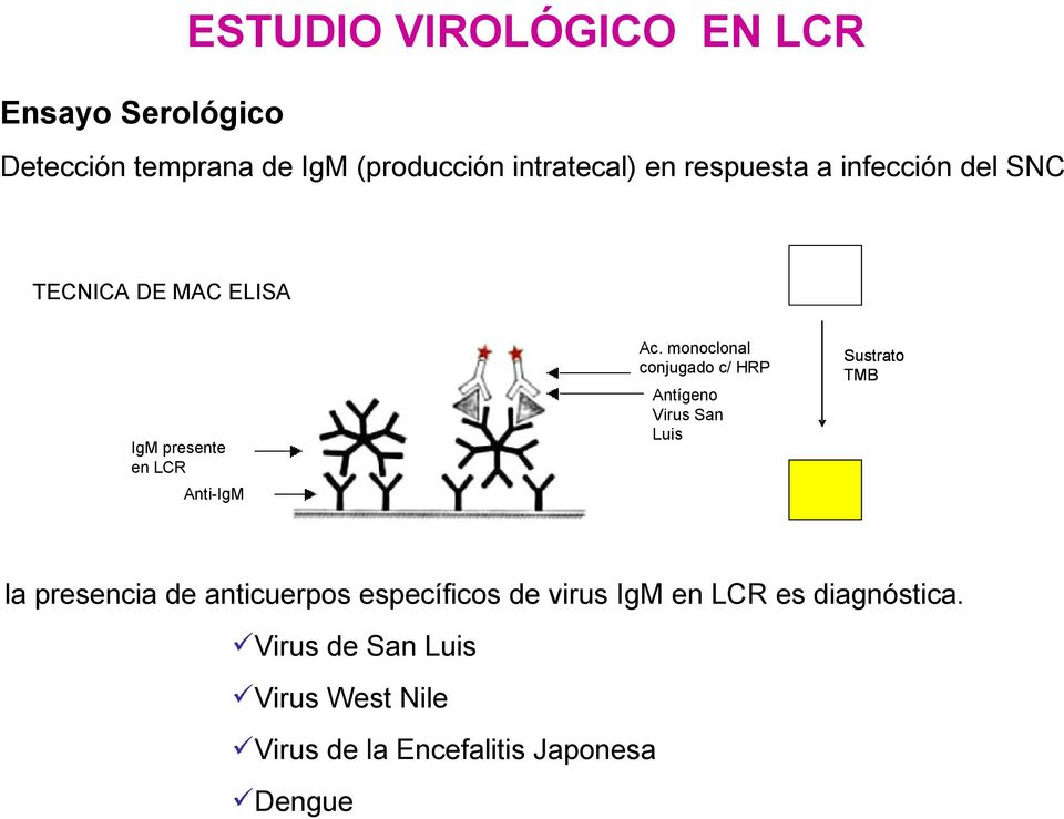 monoclonal conjugado c/ HRP Sustrato TMB Antígeno Virus San Luis IgM presente en LCR Anti-IgM la