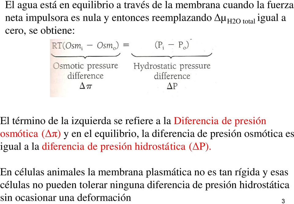 diferencia de presión osmótica es igual a la diferencia de presión hidrostática (ΔP).