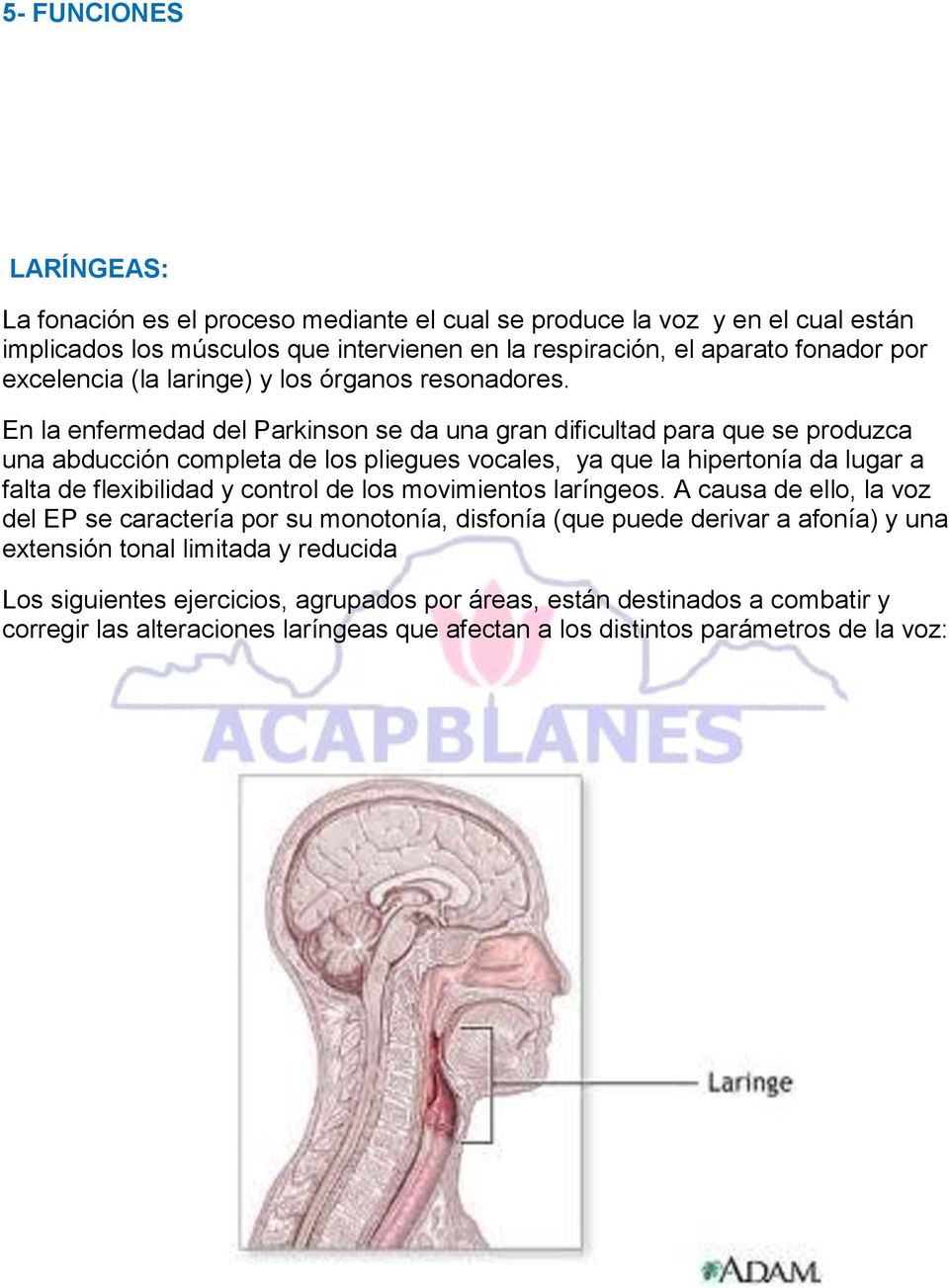 En la enfermedad del Parkinson se da una gran dificultad para que se produzca una abducción completa de los pliegues vocales, ya que la hipertonía da lugar a falta de flexibilidad y control