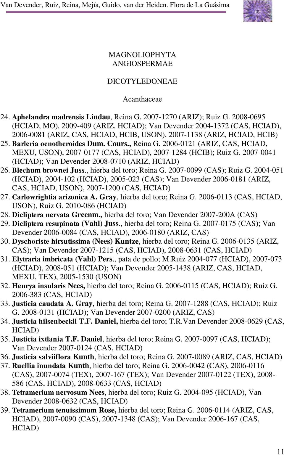 , Reina G. 2006-0121 (ARIZ, CAS, HCIAD, MEXU, USON), 2007-0177 (CAS, HCIAD), 2007-1284 (HCIB); Ruiz G. 2007-0041 (HCIAD); Van Devender 2008-0710 (ARIZ, HCIAD) 26. Blechum brownei Juss.