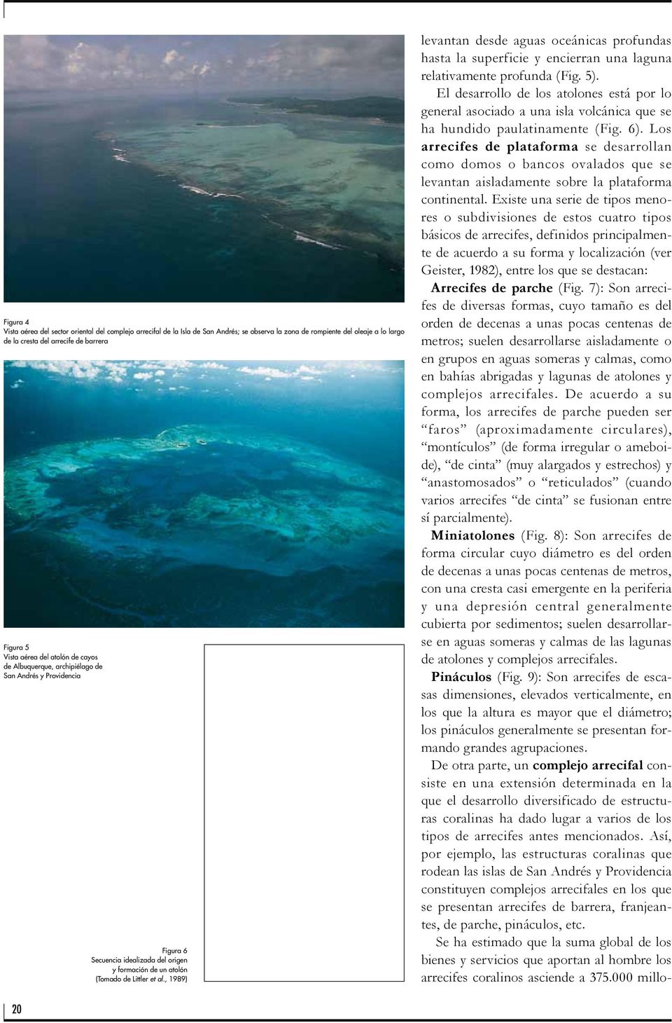 , 1989) levantan desde aguas oceánicas profundas hasta la superficie y encierran una laguna relativamente profunda (Fig. 5).