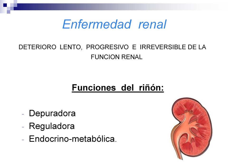 FUNCION RENAL Funciones del riñón: -