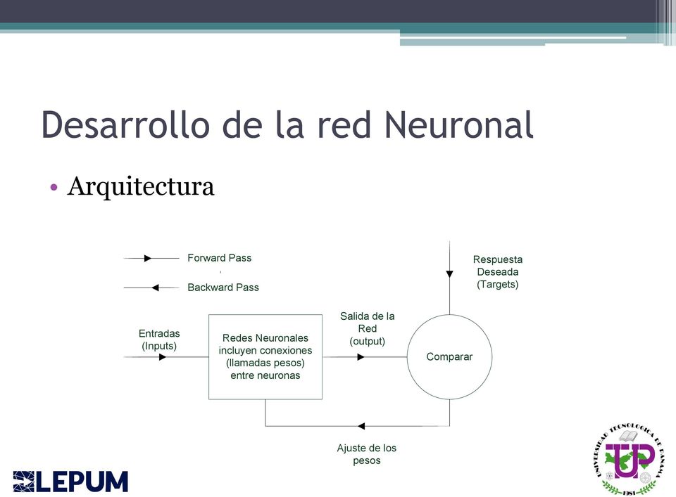 Redes Neuronales incluyen conexiones (llamadas pesos) entre