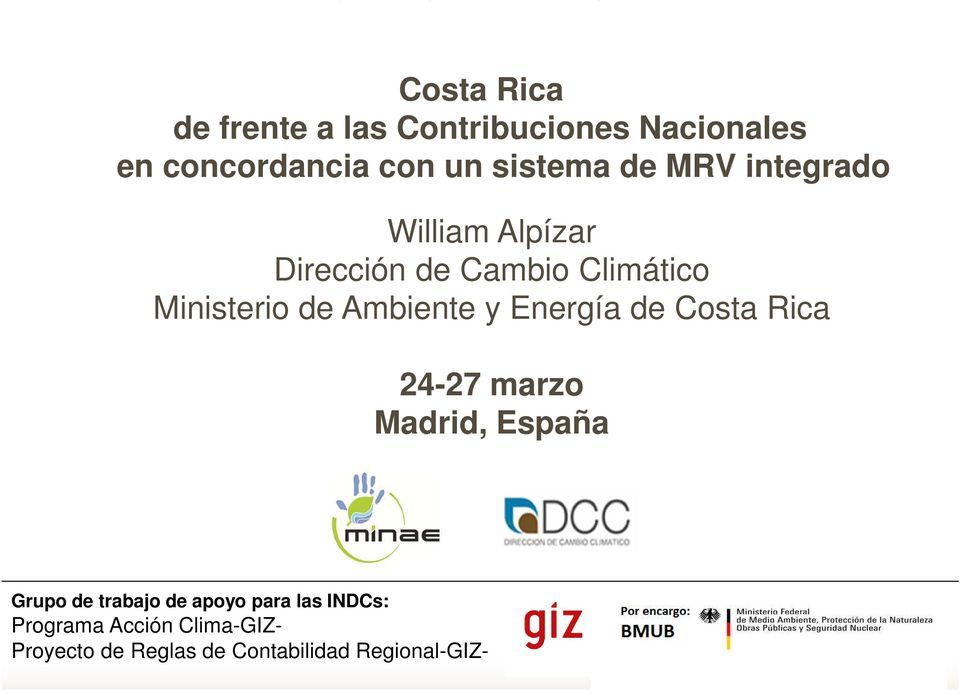 Energía de Costa Rica 24-27 marzo Madrid, España Grupo de trabajo de apoyo para las