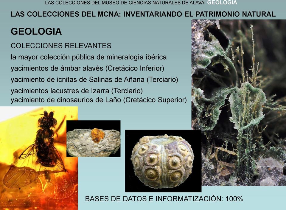ámbar alavés (Cretácico Inferior) yacimiento de icnitas de Salinas de Añana (Terciario)