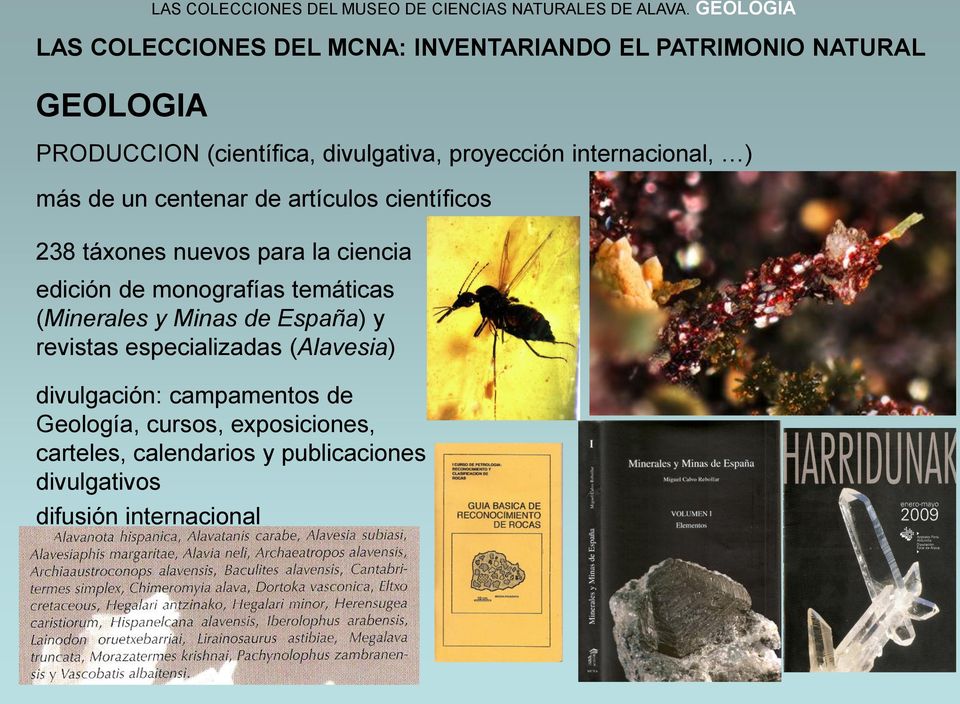científicos 238 táxones nuevos para la ciencia edición de monografías temáticas (Minerales y Minas de España) y