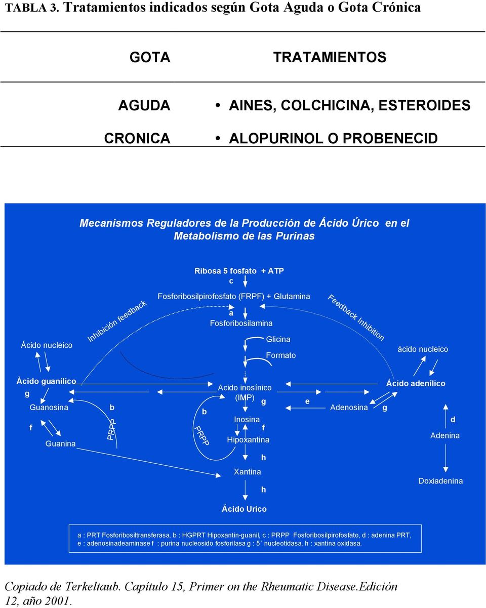el Metabolismo de las Purinas Ribosa 5 fosfato + ATP c Ácido nucleico Inhibición feedback Fosforibosilpirofosfato (FRPF) + Glutamina a Fosforibosilamina Glicina Formato Feedback Inhibition ácido