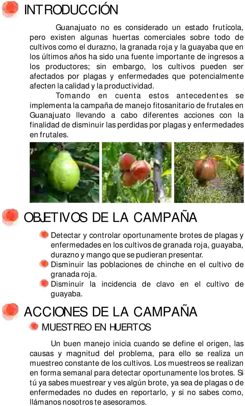 Tomando en cuenta estos antecedentes se implementa la campaña de manejo fitosanitario de frutales en Guanajuato llevando a cabo diferentes acciones con la finalidad de disminuir las perdidas por
