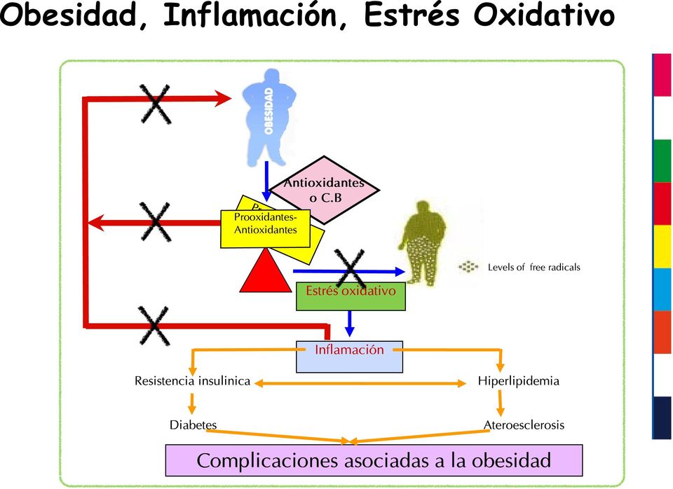 B Estrés oxidativo Levels of free radicals Inflamación