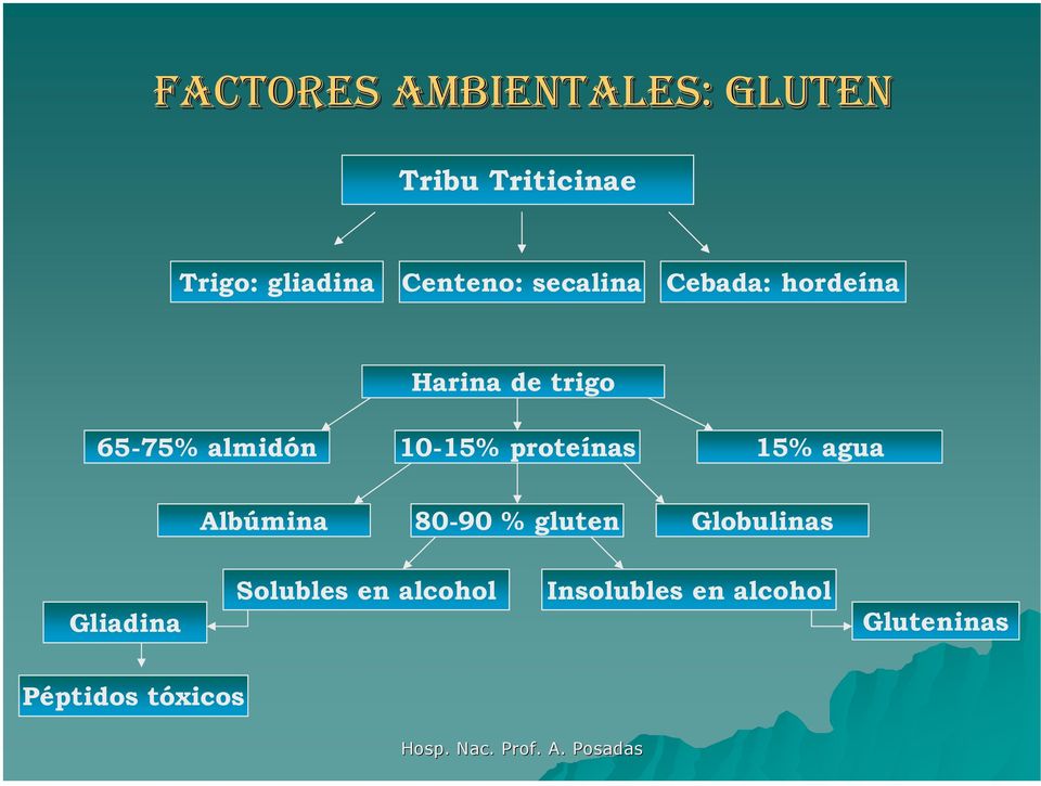 10-15% proteínas 15% agua Albúmina 80-90 % gluten Globulinas