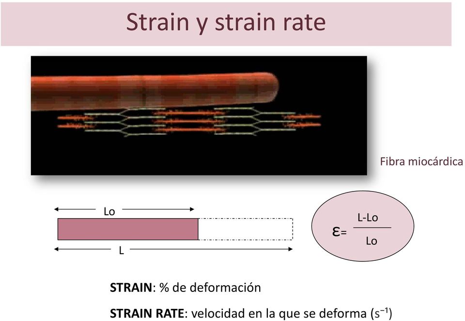 STRAIN: % de deformación STRAIN