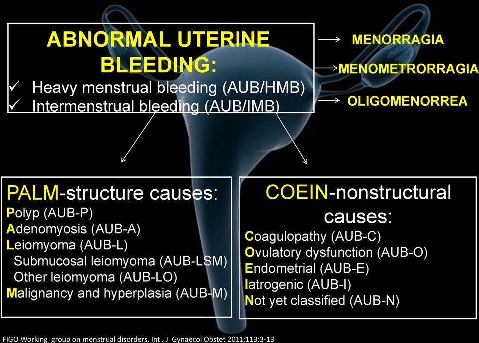 leiomyoma (AUB-LO) Malignancy and hyperplasia (AUB-M) COEIN-nonstructural causes: Coagulopathy (AUB-C) Ovulatory dysfunction