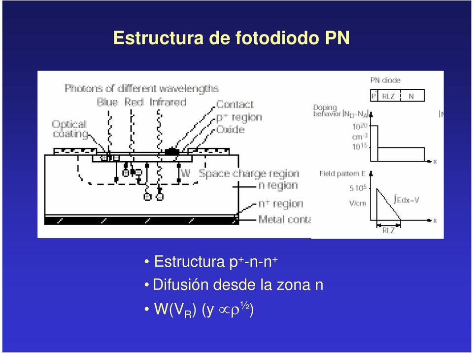 Estructura p + -n-n +