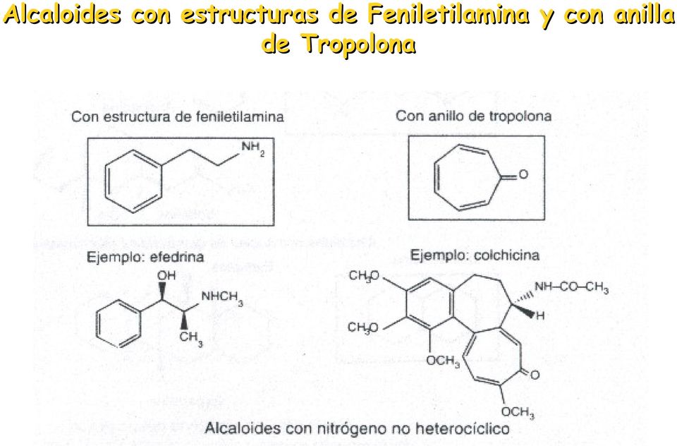 Feniletilamina y